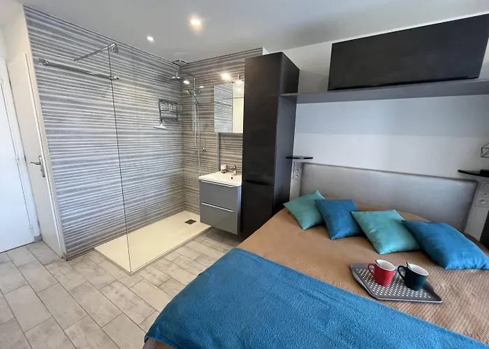 Apartamento 2 Couchage Cap D'agde Naturisme Cn040-742